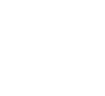 Cumbria Arabians