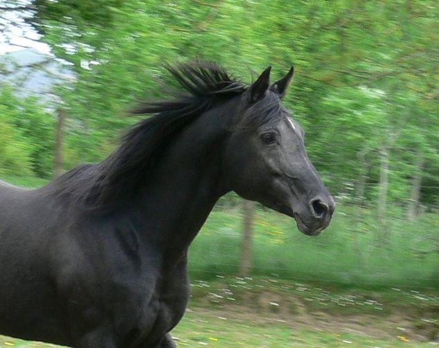 Al Sood at 23 years of age