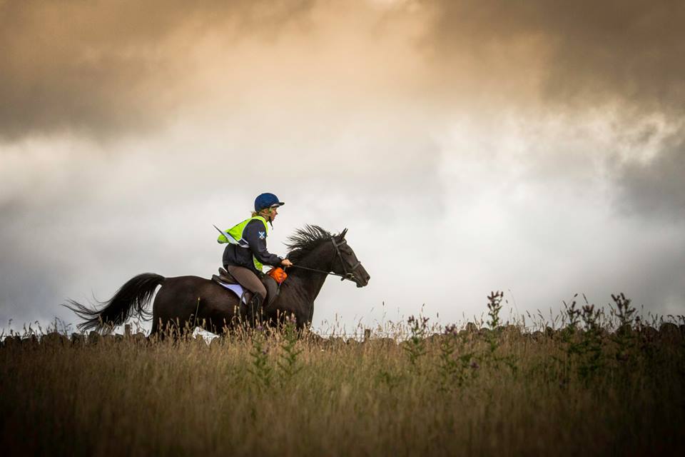 Cumbria Kalila competing in endurance