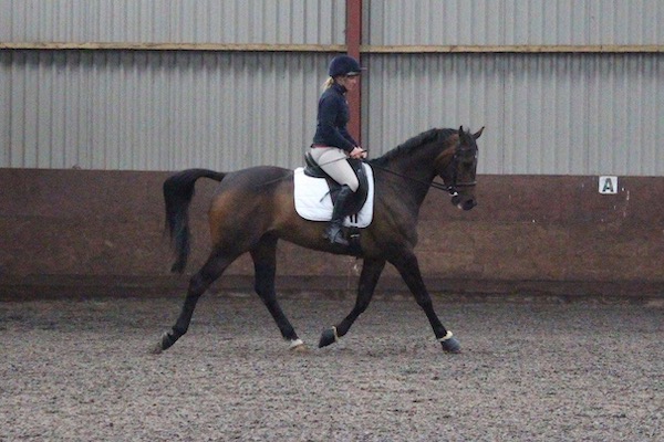 Al Sood eventing progeny
