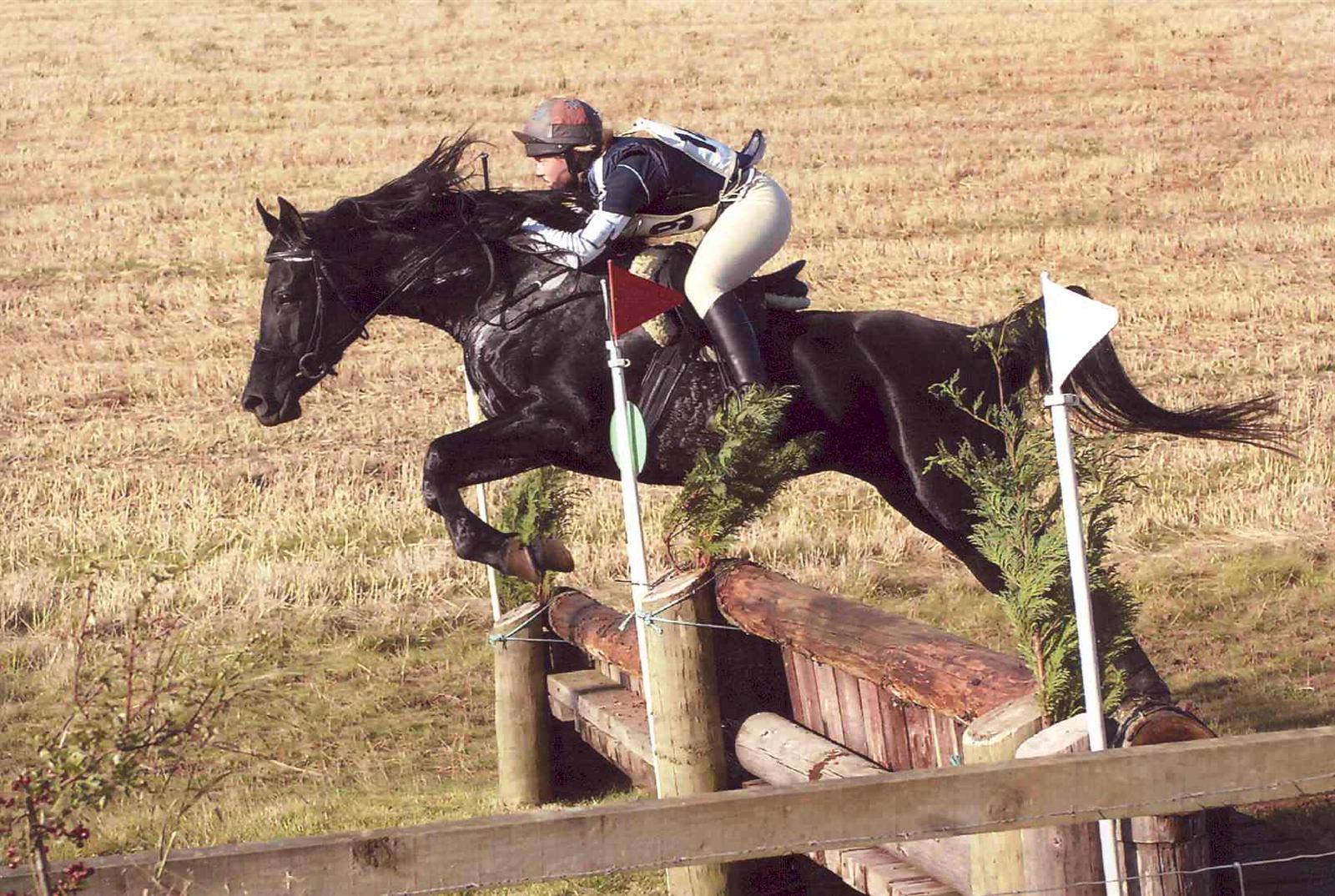 Cumbria Black Bindaree