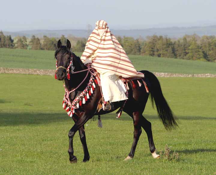 Cumbria Black Bindaree in traditional costume