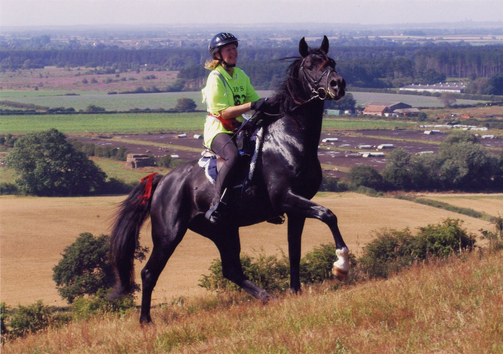 Al Sood progeny