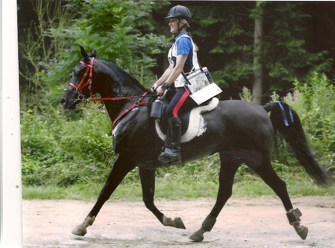 Al Sood progeny