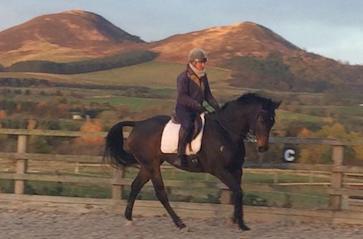 Al Sood endurance progeny