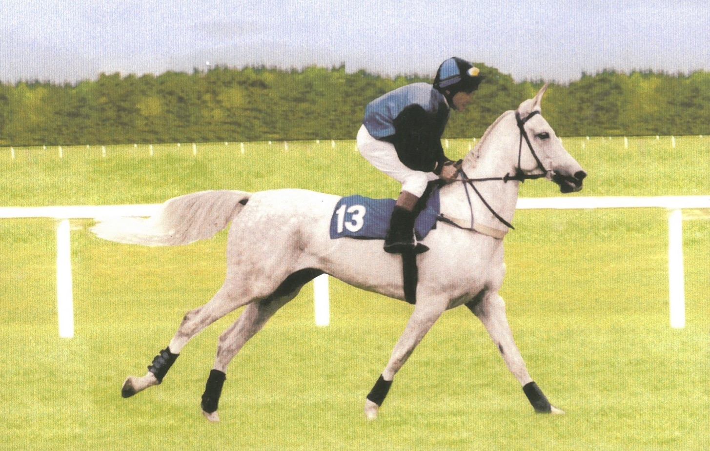 Al Sood progeny