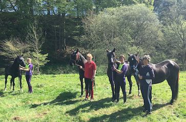Al Sood endurance progeny