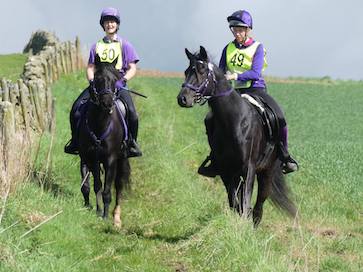 Al Sood endurance progeny