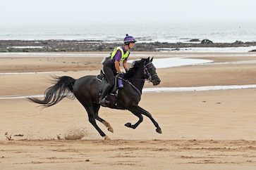Al Sood endurance progeny